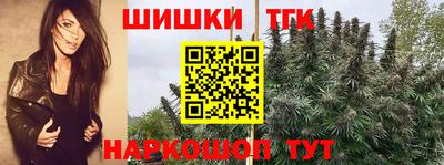 бошки Гатчина