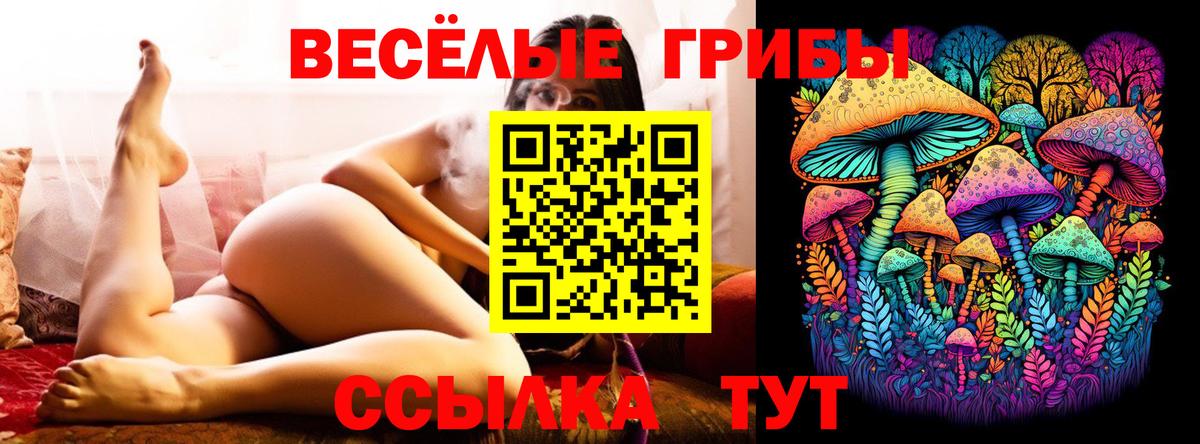 Псилоцибиновые грибы GOLDEN TEACHER  Вход с VPN  Подольск  что такое наркотик  Галлюциногенные грибы Magic Shrooms 
